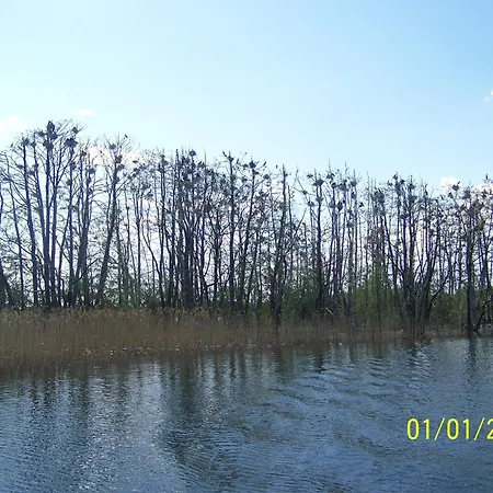 Stary Drahim Homestay *